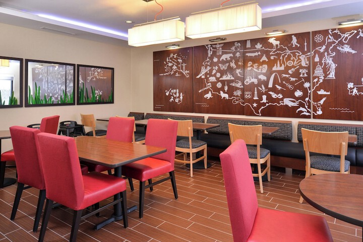 TownePlace Suites Detroit Commerce