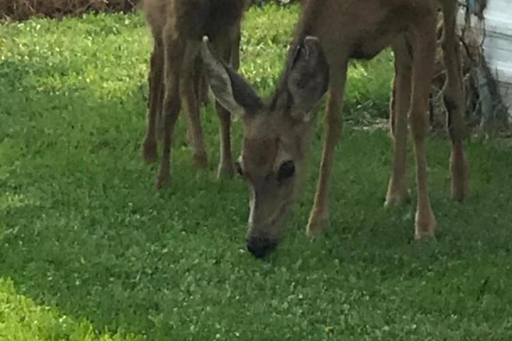 Goose Creek RV Park & Campground
