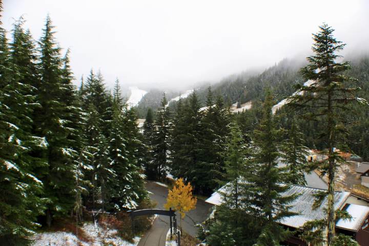 Crystal Chalets Condominiums at Crystal Mountain Ski Resort