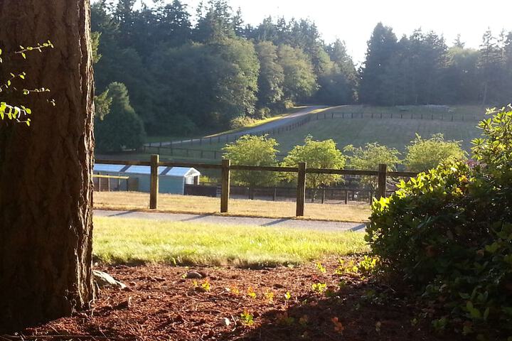 Wildwood Farm B & B
