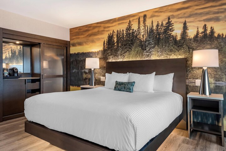 Cambria Hotel Shelby Township - Detroit Utica