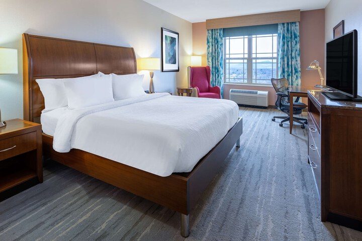 Hilton Garden Inn Roanoke
