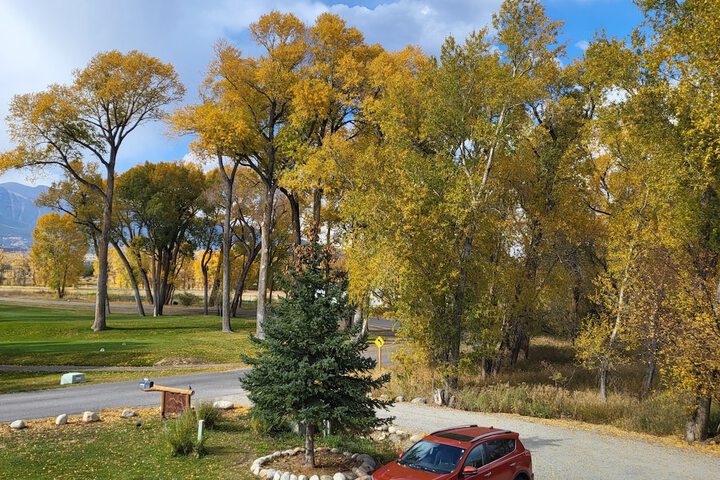 Buffalo Peaks B & B