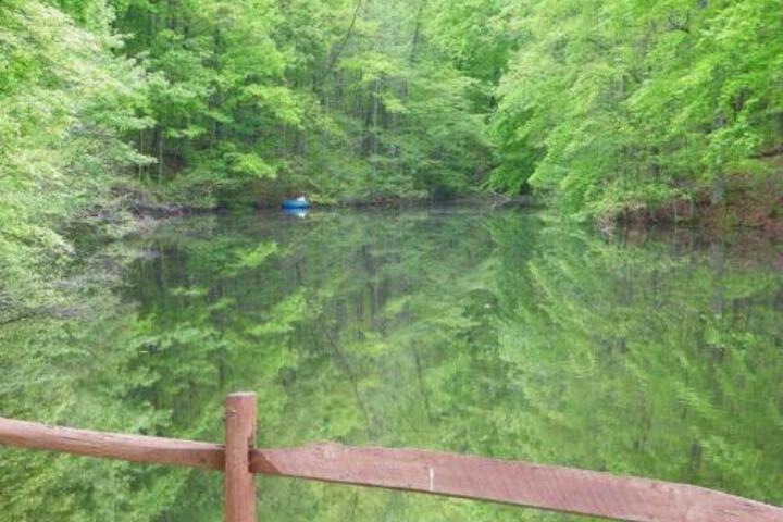 Lake Myers Lakeside Villa 15