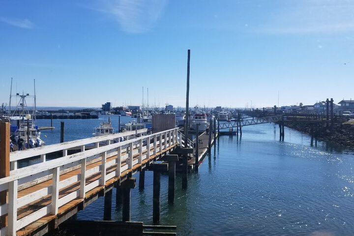 Islander Westport