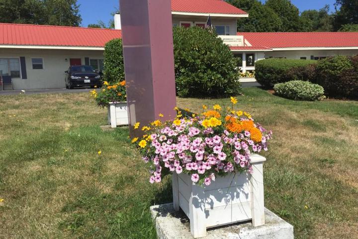 Gull Motel - Belfast Maine
