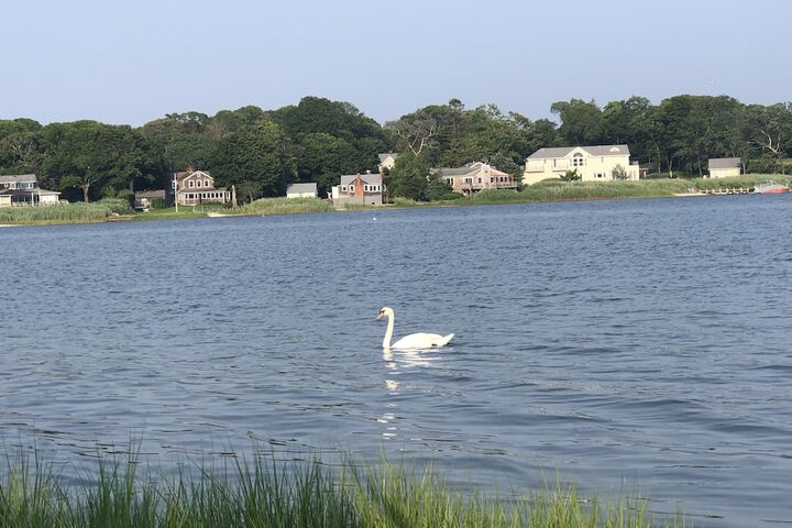 Bayview Resort