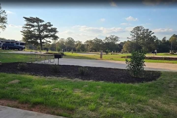 Carolina Camp Cedar