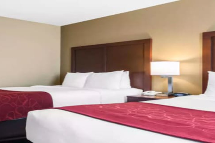 Comfort Suites Tampa Airport North