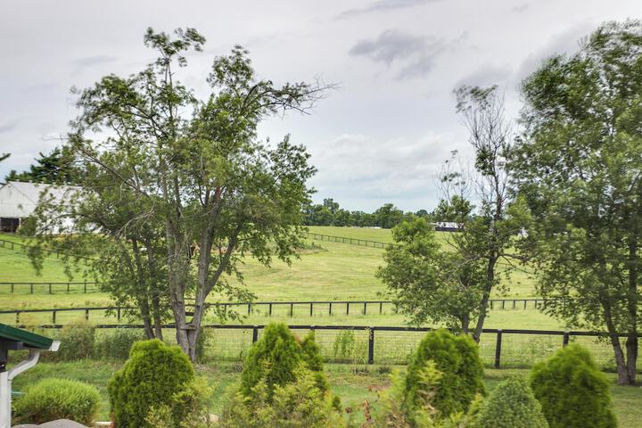 Large & Private Guest House Apt w / Patio + Views!