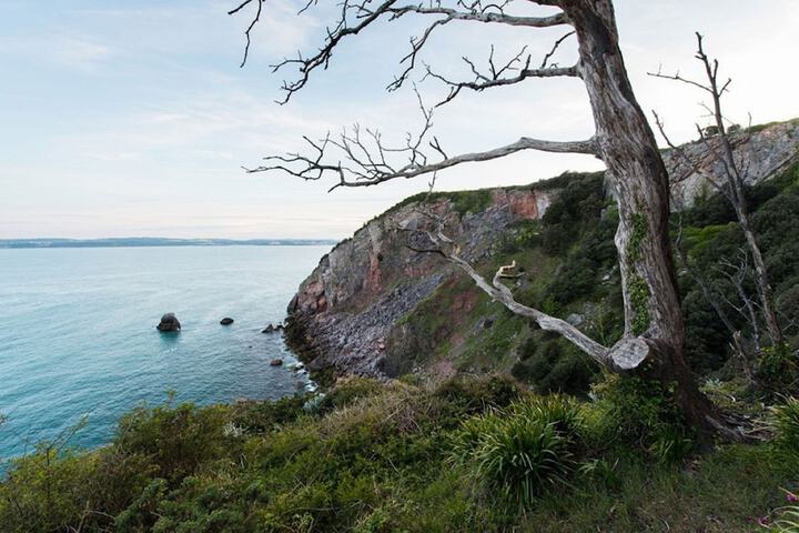 The Headland Hotel & Spa
