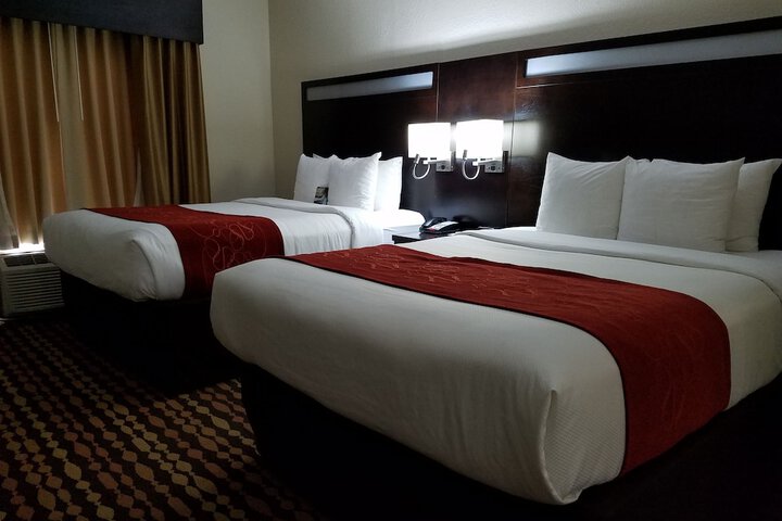 Comfort Suites Northside Hospital Gwinnett