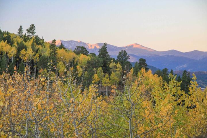 Mountain Views + Hot Tub: Airy Forest Escape!