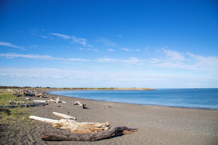 Beach 37 of 50