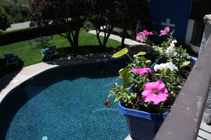 Pool 8 of 104
