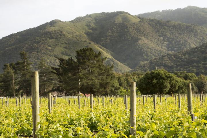 Bernardus Lodge & Spa
