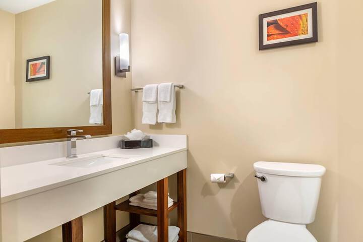 Comfort Suites Florence - Cincinnati South