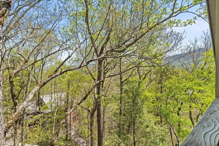 Laurel Valley Mountain Retreat