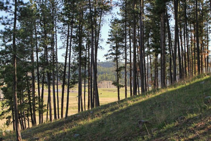 Mountain View Lodge & Cabins