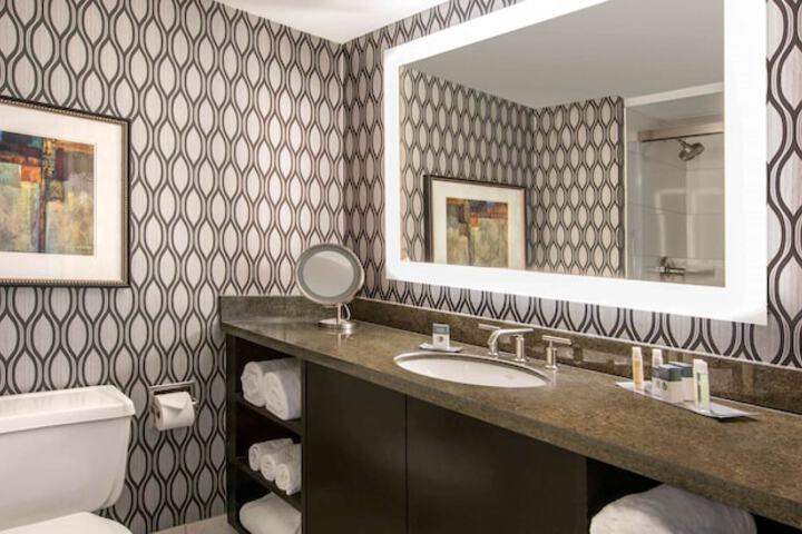 DoubleTree by Hilton Chicago Schaumburg
