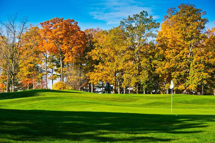 Golf 25 of 25
