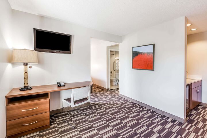 Microtel Inn by Wyndham Victor / Rochester