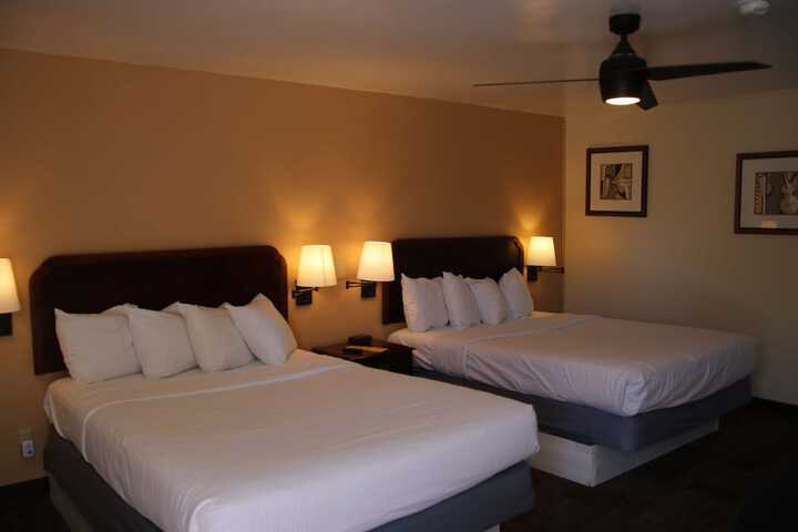 Room 36 of 51