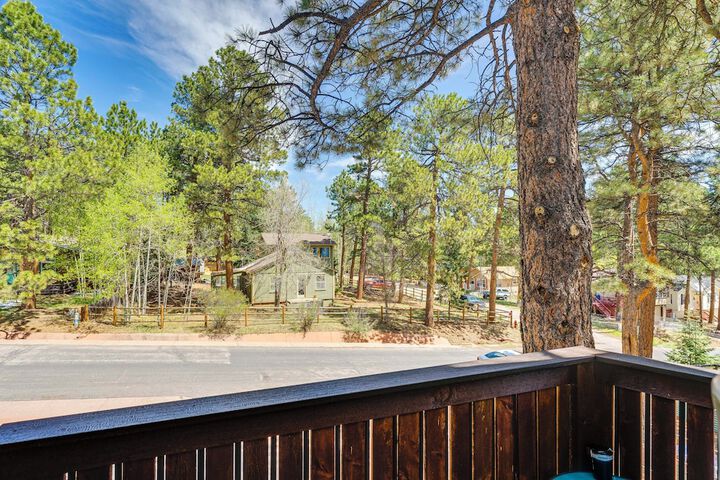 Woodland Park Apartment: Forest Views + Deck!
