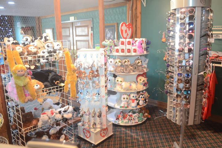 Gift Shop 31 of 38