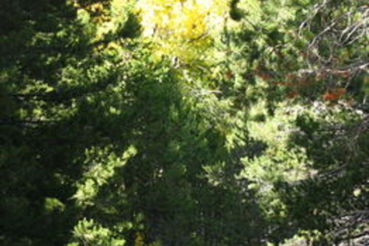 Lost Trail Lodge