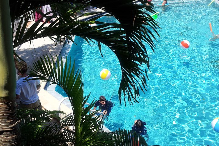 Pool 19 of 392