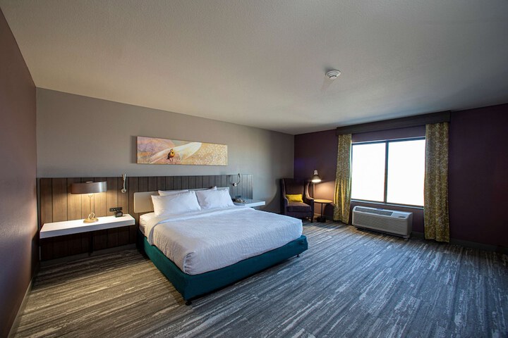 Hilton Garden Inn Rapid City