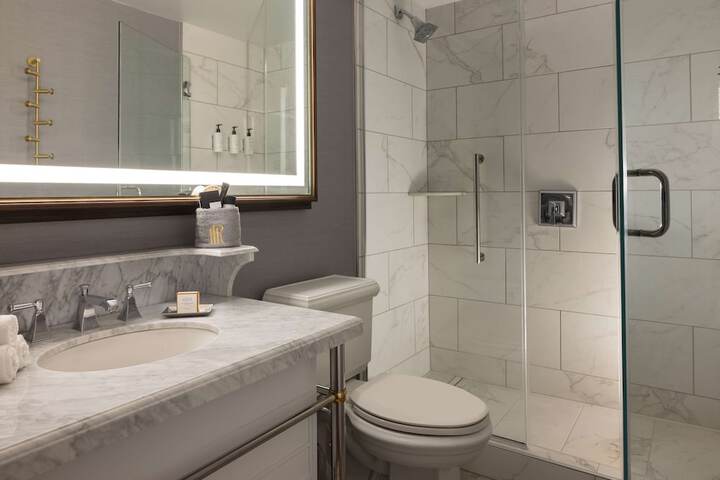 Hotel Roanoke & Conference Center Curio Collection by Hilton