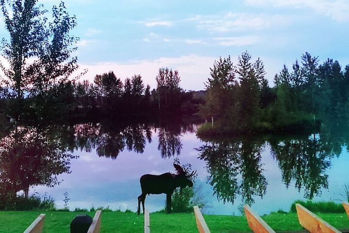 SkyWater Cabins