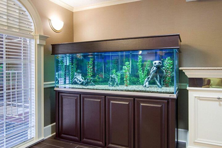 Quality Inn & Suites Little Rock West