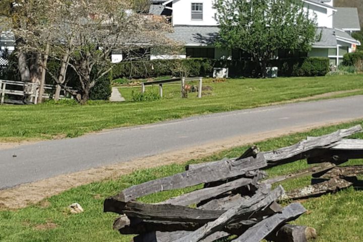 Pisgah View Ranch