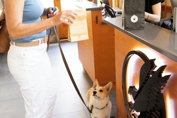 Pet Friendly 126 of 136