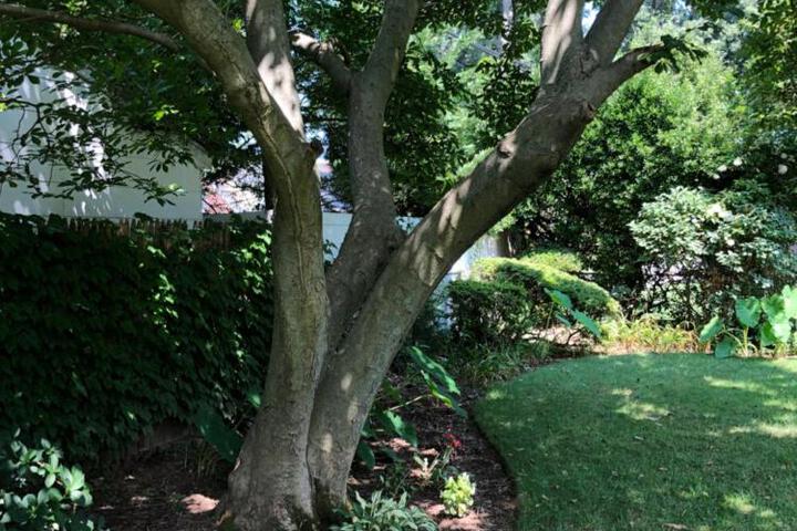 Cheerful Studio Getaway / Garden/By Lake State Park.