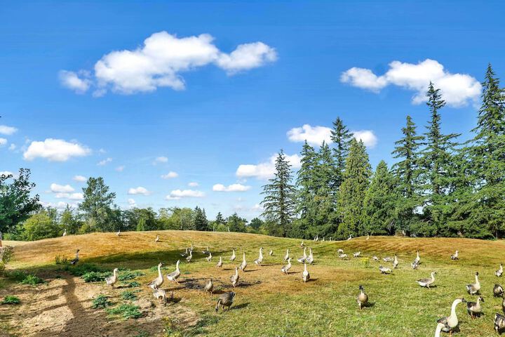 Cozy Ferndale Studio on 20-acre Working Farm!