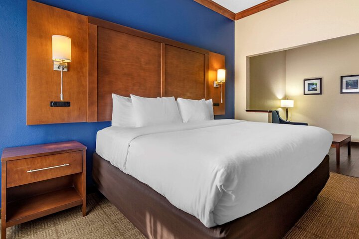 Comfort Inn & Suites Statesboro - University Area
