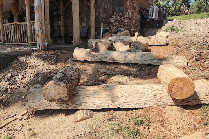 Cedar house