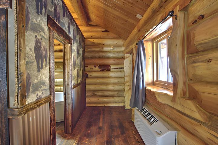 The Hibernation Station