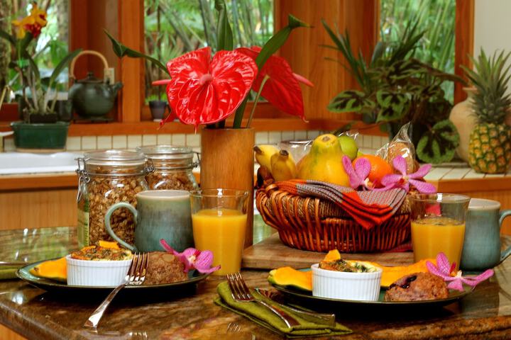 Volcano Rainforest Retreat