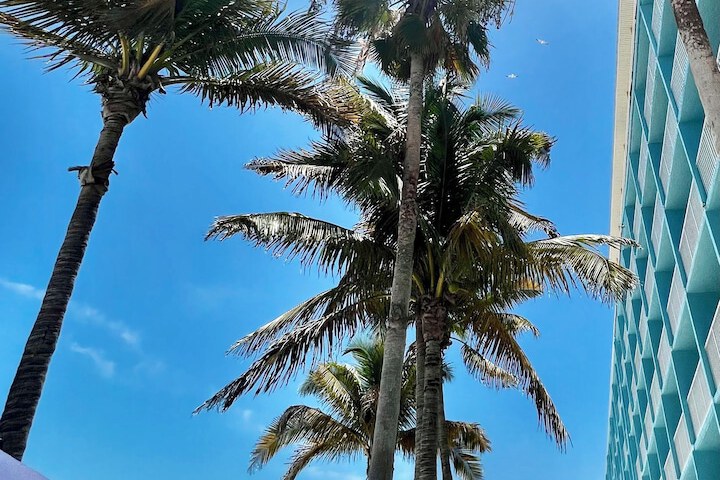 Lani Kai Beachfront Resort
