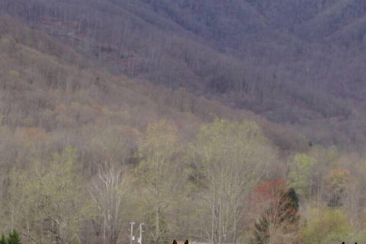 Pisgah View Ranch