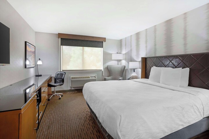 Room 20 of 37