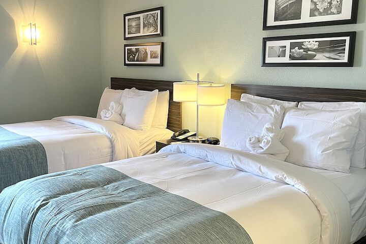 Room 50 of 58