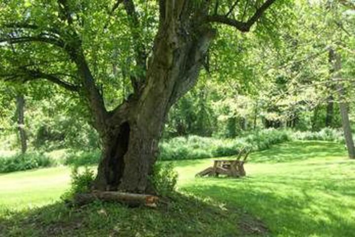 Wagener Estate Bed & Breakfast