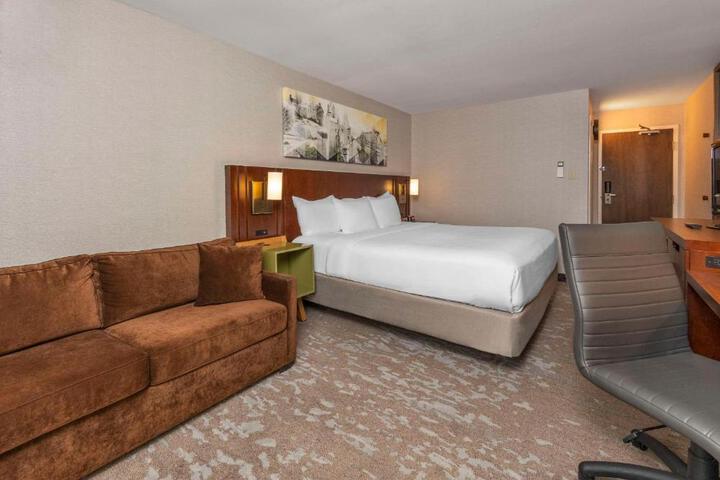 Comfort Inn South