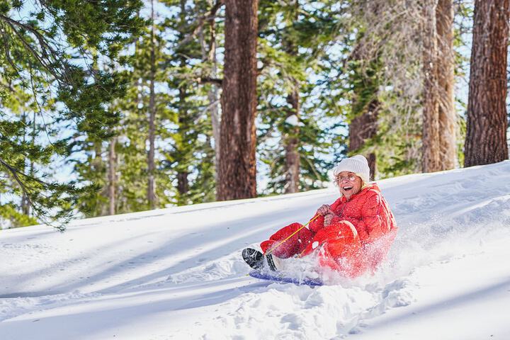 Outbound Mammoth
